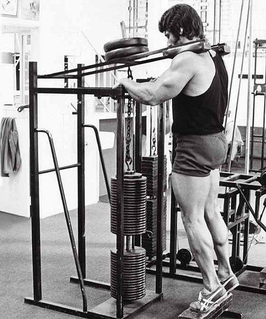 Standing Calf Raises